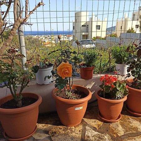 شقة أرتيميدا  في Airport Family House المظهر الخارجي الصورة