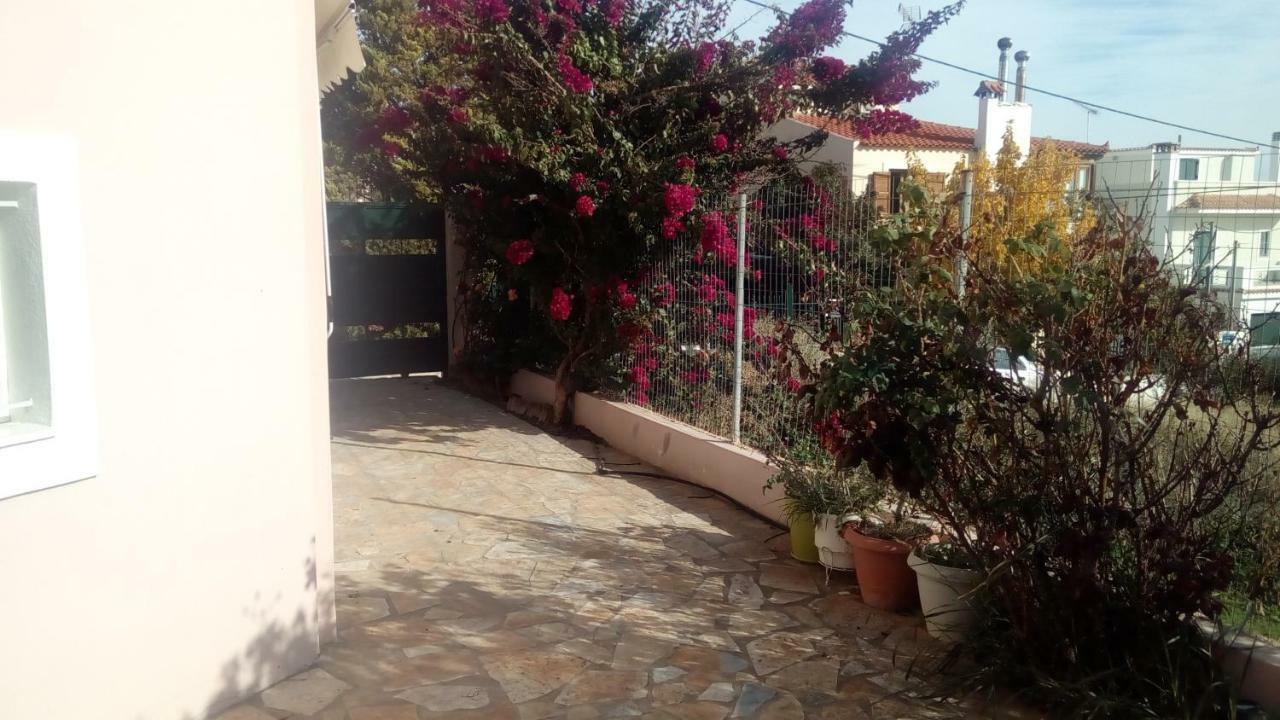 شقة أرتيميدا  في Airport Family House المظهر الخارجي الصورة