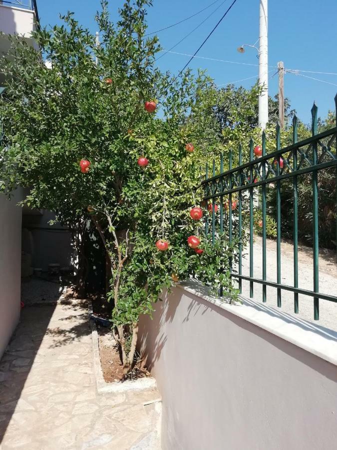 شقة أرتيميدا  في Airport Family House المظهر الخارجي الصورة